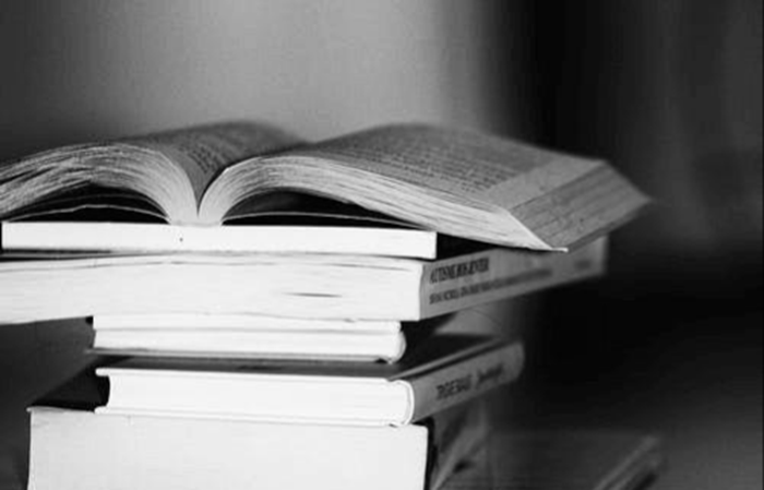 翻譯葡萄牙語word文檔軟件哪個(gè)好用？word文檔怎么翻譯？