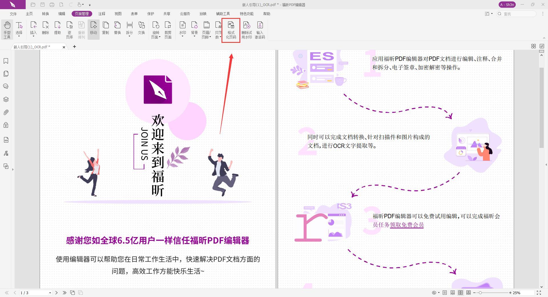 PDF頁碼格式化