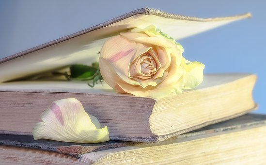 pdf轉換word工具PDF的區(qū)域高亮怎么設置?