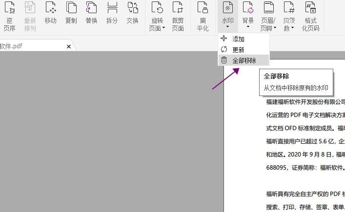 高級編輯器 全部移除水印.jpg
