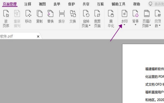 PDFȥˮӡ?ʲôС!