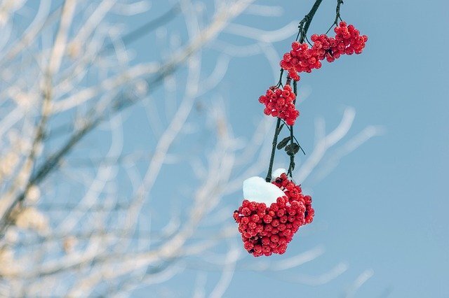 ӽoPDFˮӡ?κò!