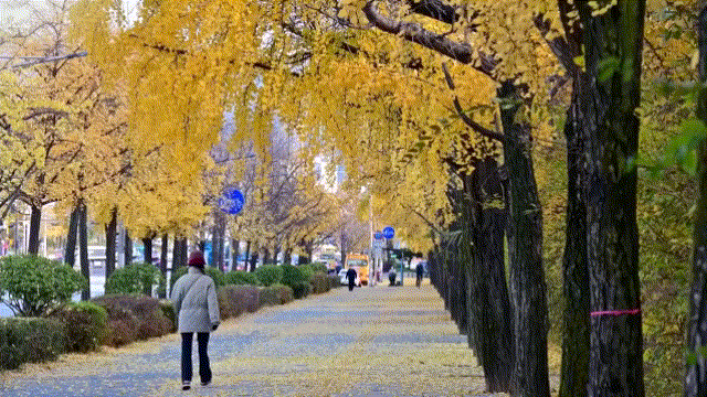 11.gif 蒙版高級玩法詳細教程--漸變轉場